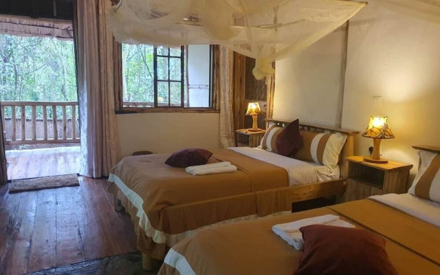 The Gorilla Resort