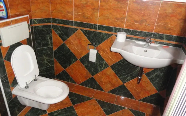 Apartment Pucurica II