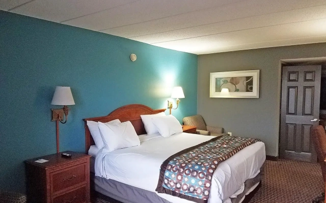 Americas Best Value Inn St. Louis Downtown