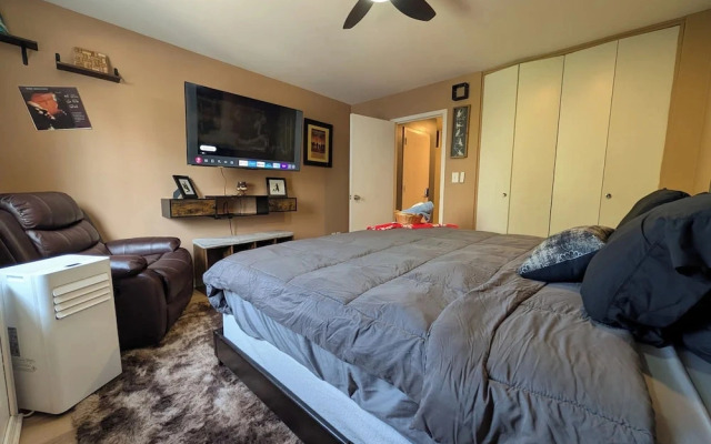 Urban Oasis Luxe King Suites  City Views