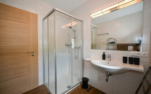 Apartment Medicus Zell am See Incl Summer Card