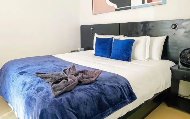 Renovated Aparment Avenida Amsterdam