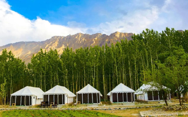 Lumbini Camp- Nubra Valley