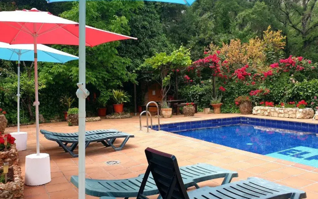 Apartamentos El Parral