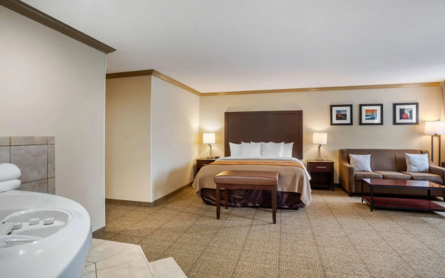 Comfort Inn Castro Valley