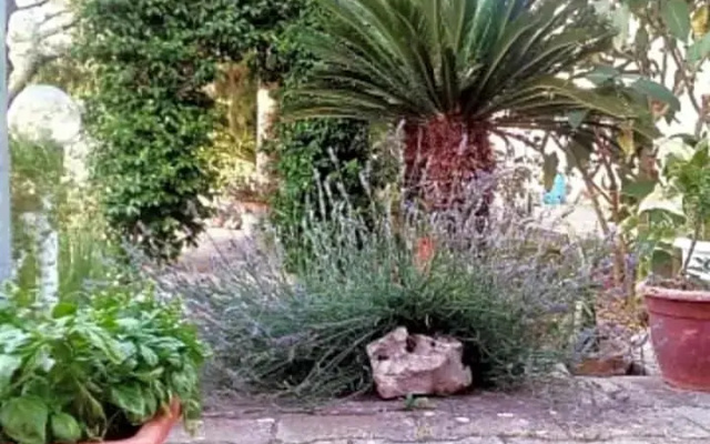 BB La casa di Tella