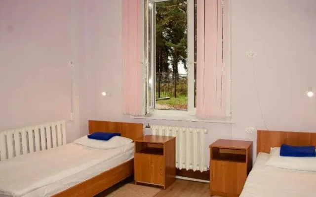 Bor na Volge Hostel