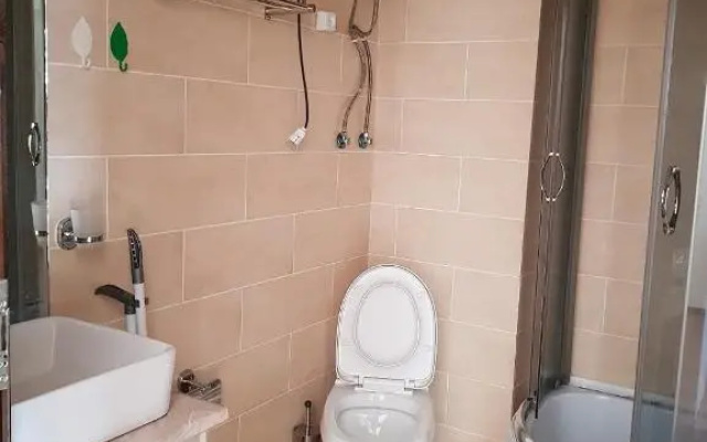 mgzavrebi 209