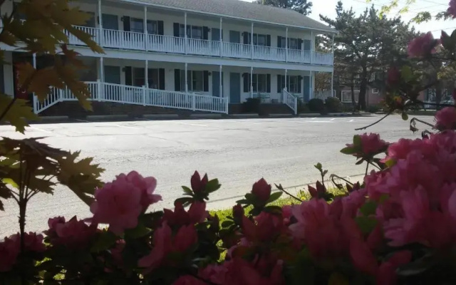 Sea Shell Motel