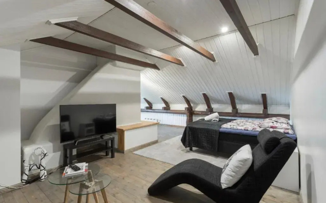 Unique open space loft studio in the attic