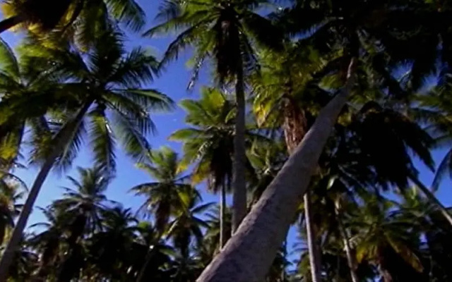 El Paradiso