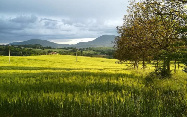 Agriturismo Collina Dei Fagiani