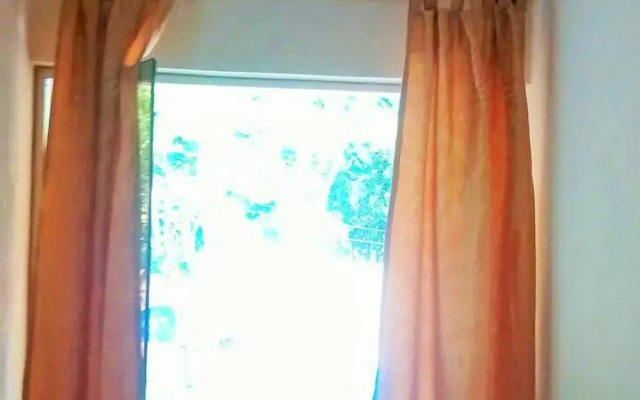 Peru Rent Tarapoto Shack