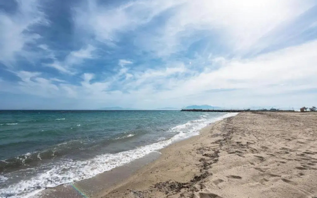 Blue Horizon 6