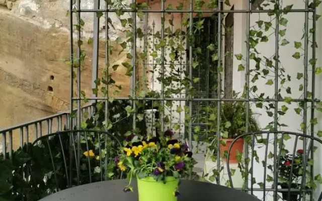 Museumhome
