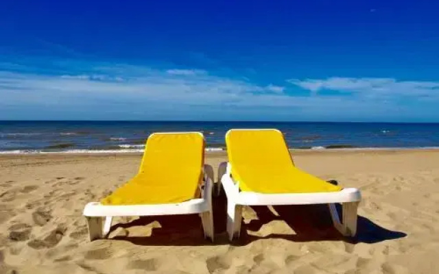 Reumann Holiday Apartments: De Schelp