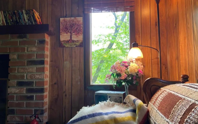 Saw Creek Cabin - Regent Hilltop