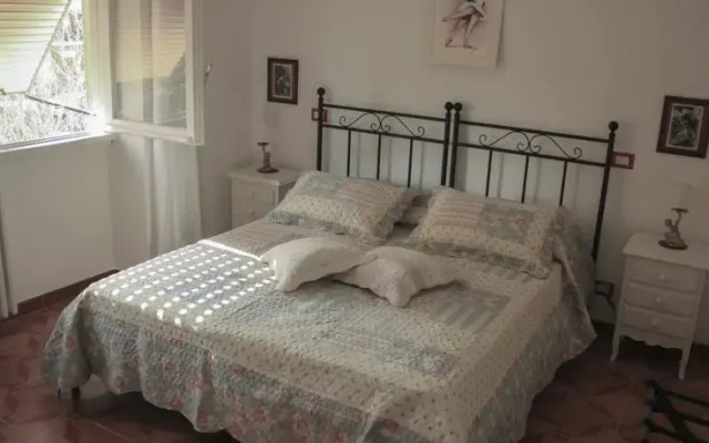 Domus Roma Vacanze - Qui staremo bene