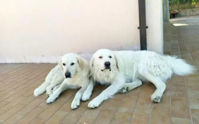 La casa di Spineto