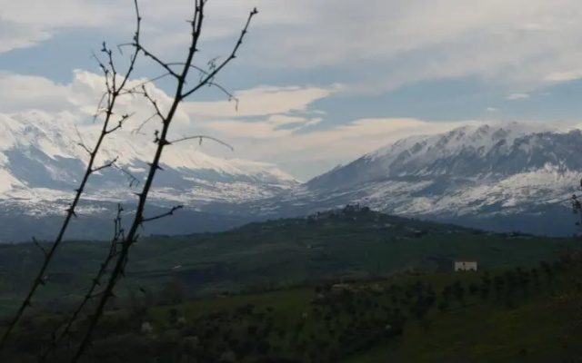 Belvedere