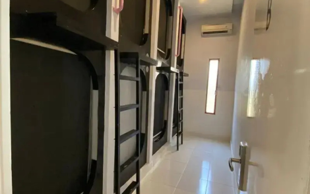 The Packer Box - Hostel