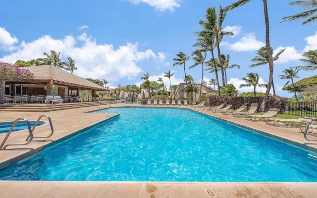 Maui Kamaole M106 In Kihei
