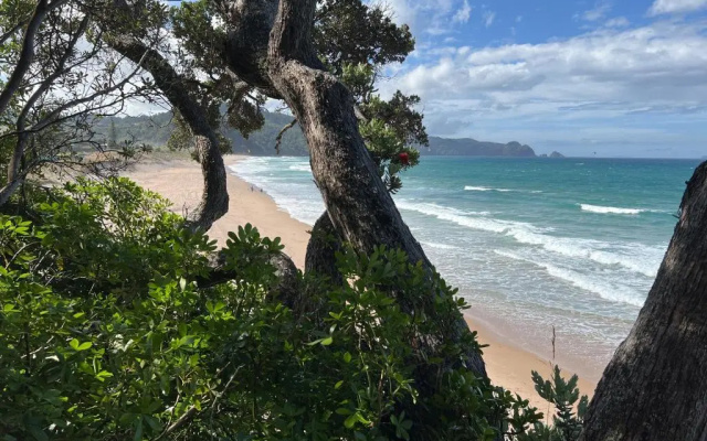 Oceana Heights Paradise - Beautiful 2 bdrm self contained apartment
