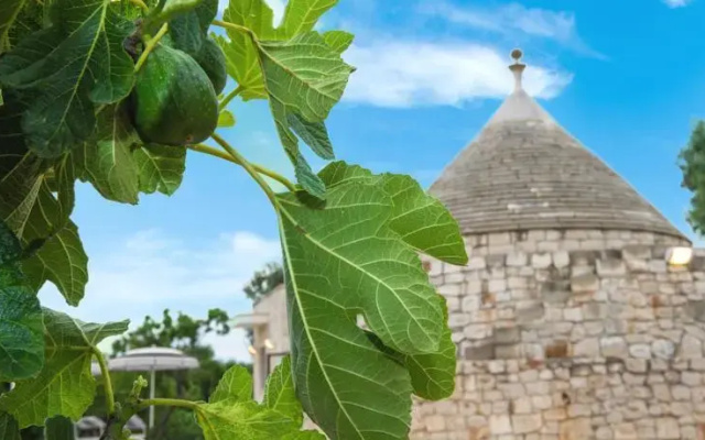 Trullo del Boschetto