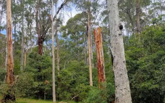 Lakes Entrance Log Cabins
