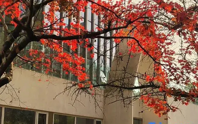 Sambong Park Residence