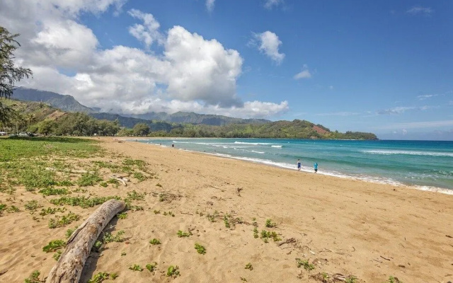 Hanalei Dream 5 Bedroom Home by RedAwning