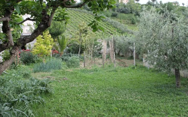 Vacri Vacation Home