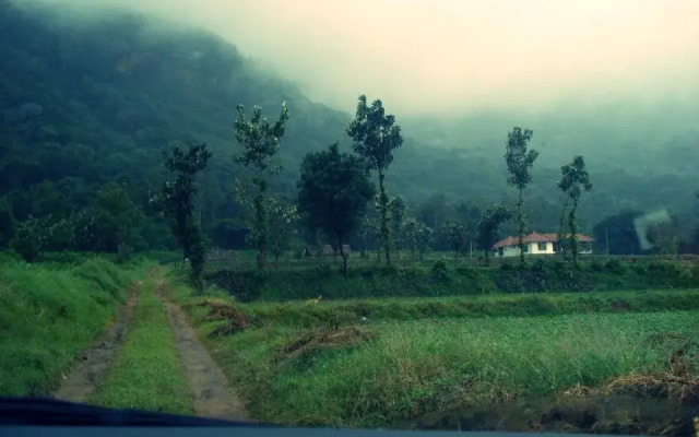 Serenity Guest house