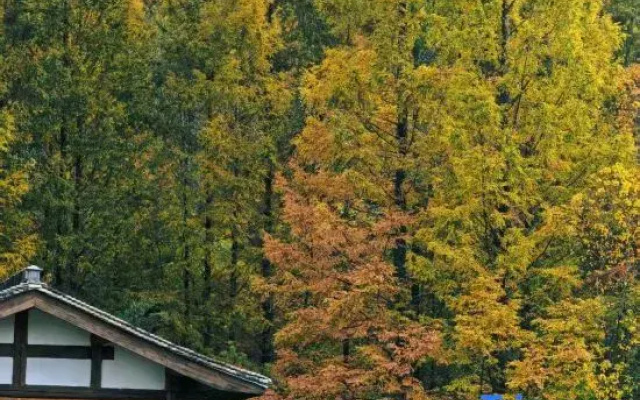 Hongcun knows • Food House B&B (Tachuan Scenic Area)