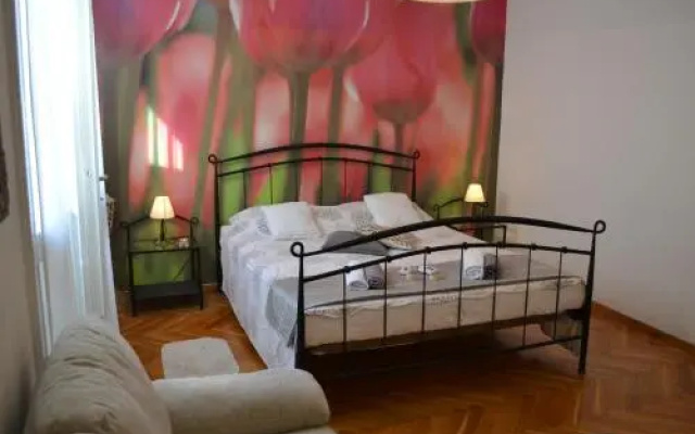 Zadar City Studios