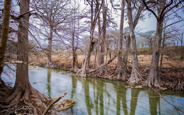 Wild Arrow Ranch