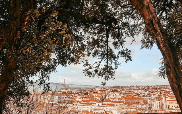 Flat by Sao Jorge Castle