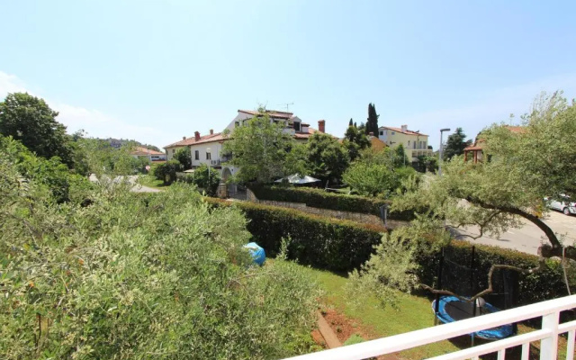 Apartment Rokov