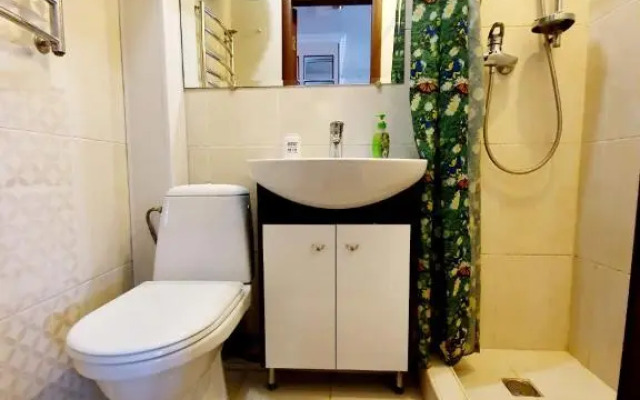 Apartment Voznesenskaya 25