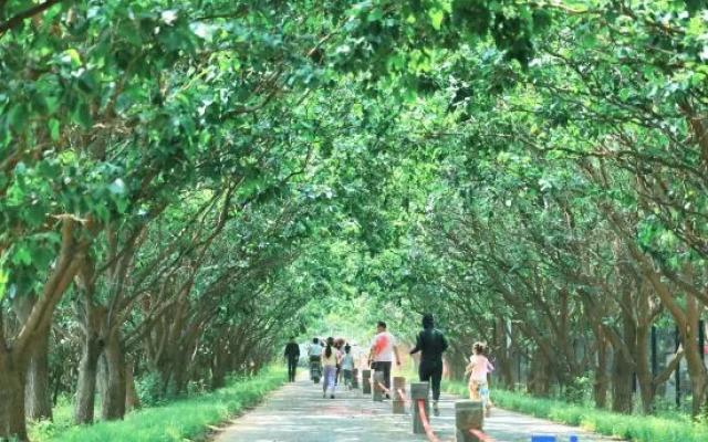 HiMaMa Parent-Child Farm