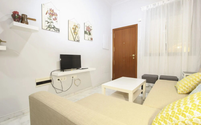 Deluxe Apartment Castilla