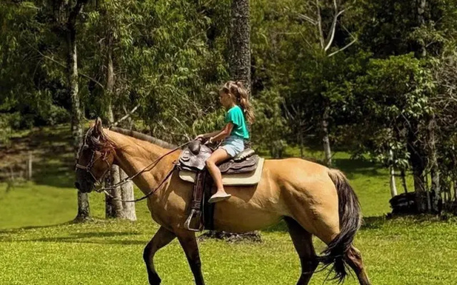 WoodStone Hotel Fazenda