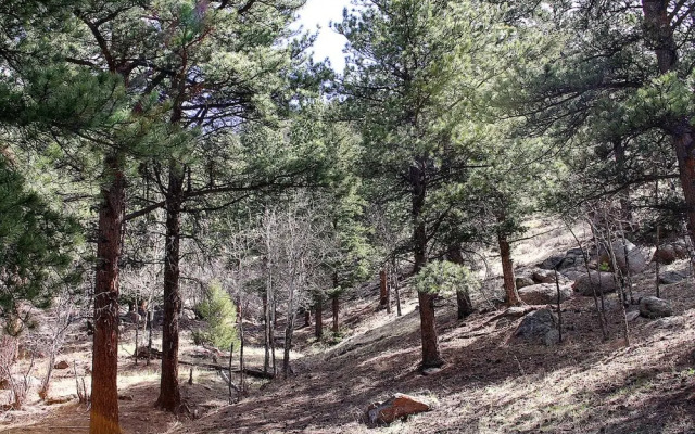 Timber Creek Chalets: 3