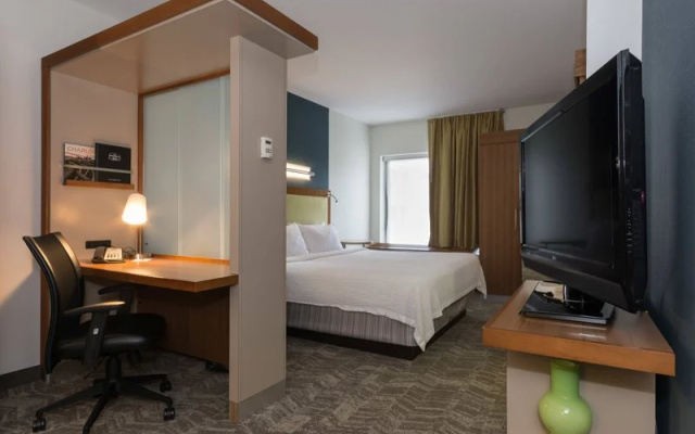 SpringHill Suites Charlotte Ballantyne