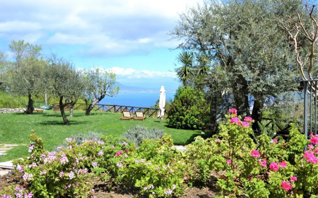 Sorrento View