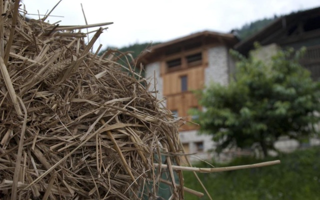 Agricampeggio Ai Gaggi