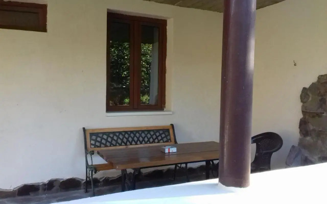Zviad1