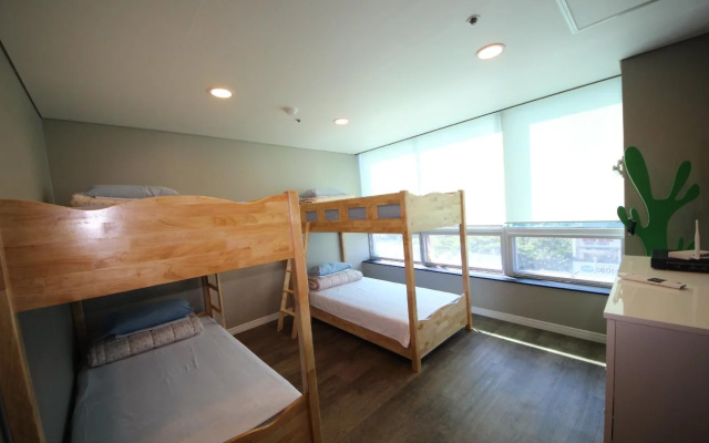 Hostel The New Day