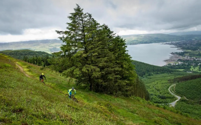 Rostrevor Mountain Lodge & Glamping (Dog Friendly)