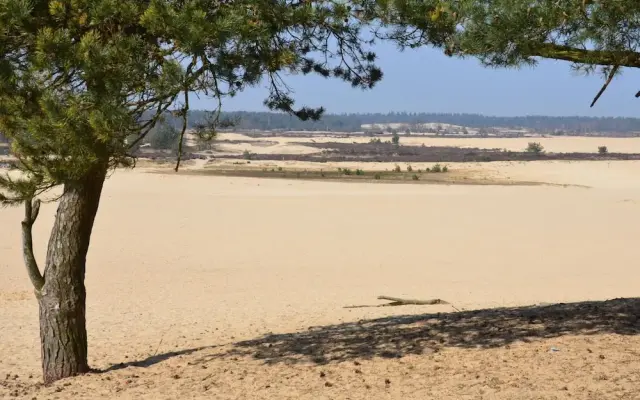 Tent Lodge Near Loonse & Drunense Dunes